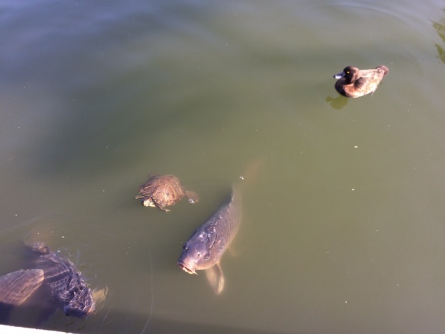 f0274713_10134956.jpeg