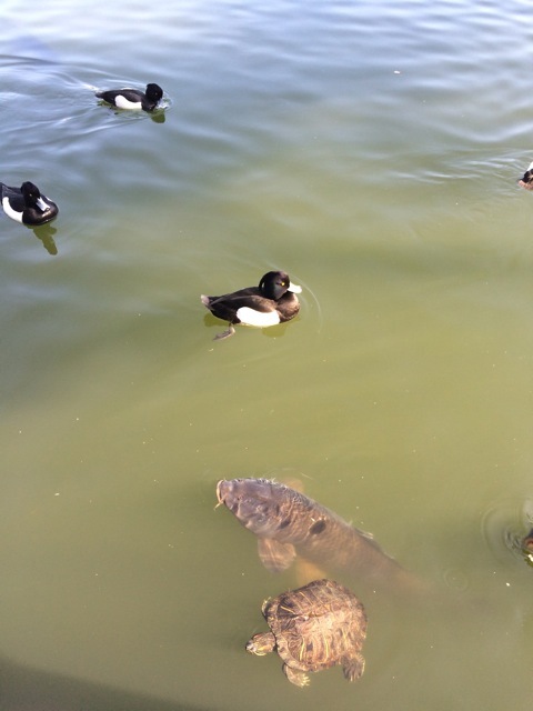 f0274713_10135235.jpeg