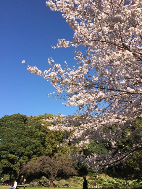 f0274713_10140096.jpeg