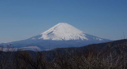 c0012819_1035041.jpg