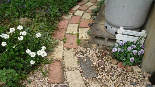 e0263224_10482892.jpg