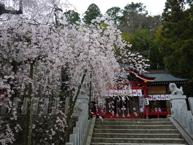 e0137130_2357323.jpg
