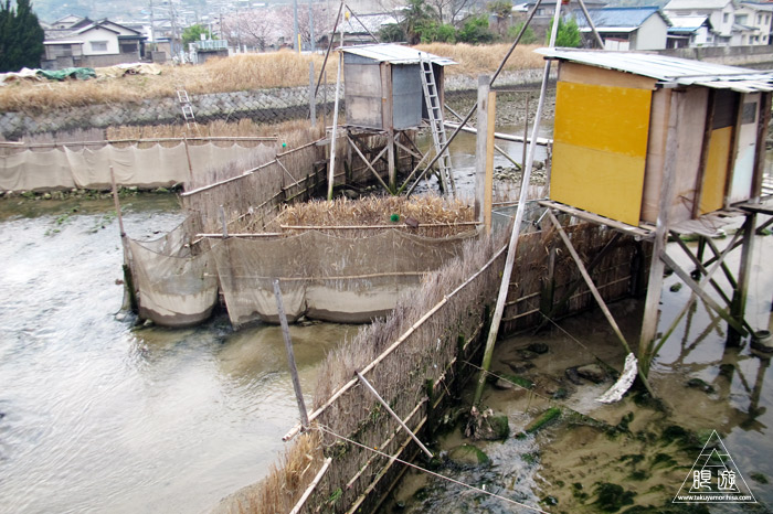 451 安浦町 ~シロウオ漁~_c0211532_216887.jpg