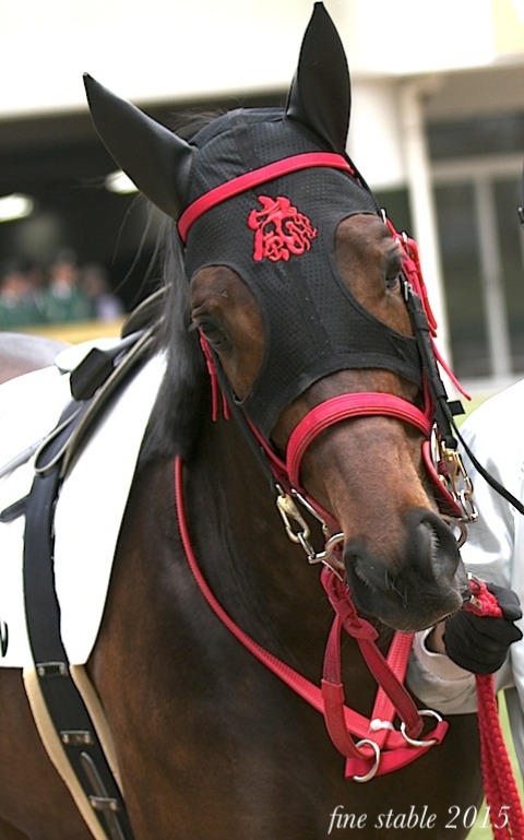 c0240132_66442.jpg