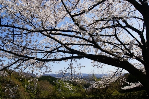 a0245339_19124370.jpg