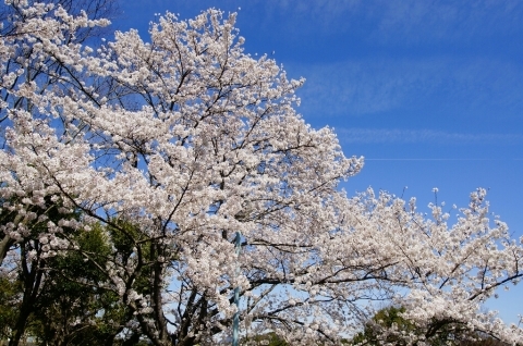 a0245339_19231337.jpg
