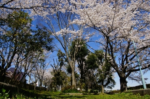 a0245339_19231397.jpg