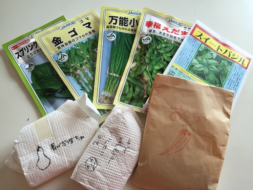 畑作り その2_c0331145_17222249.jpg