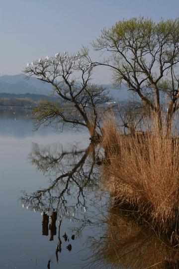 c0093046_18555523.gif
