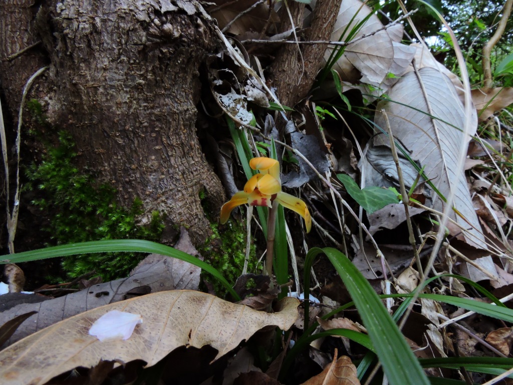 f0043750_2192355.jpg
