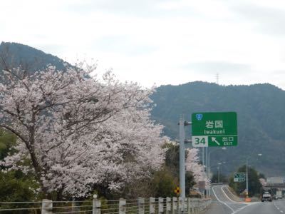 父の広島里帰りと錦帯橋の桜_d0224362_862896.jpg