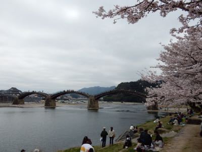 父の広島里帰りと錦帯橋の桜_d0224362_864350.jpg