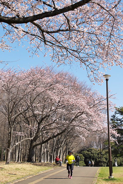 横浜　根岸森林公園（3月31日）_c0057265_2381290.jpg