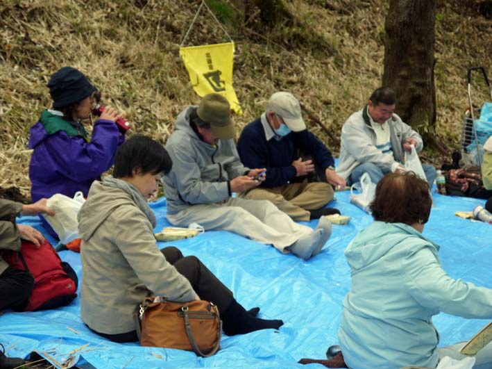 六国見山展望台周辺の山桜満開:4・4北鎌倉ウォッチング_c0014967_22275518.jpg