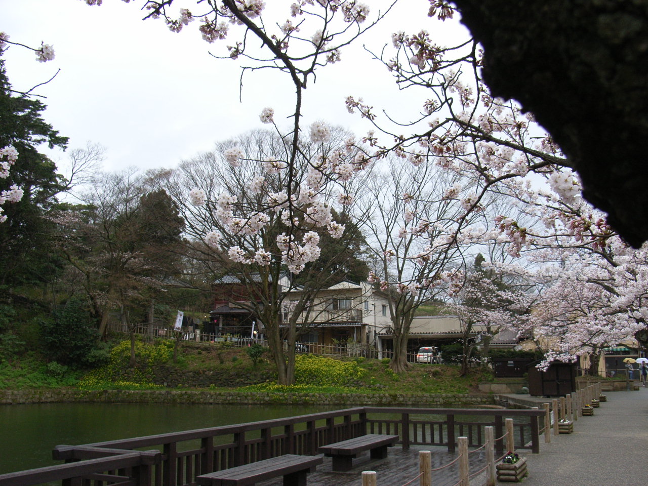 b0300769_13252754.jpg