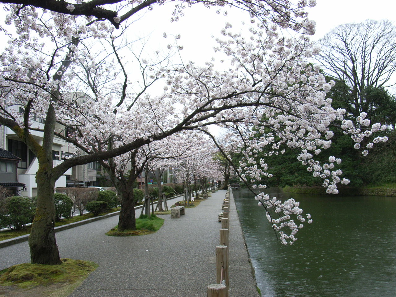 b0300769_13263086.jpg