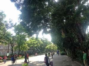 c0178169_15102376.png
