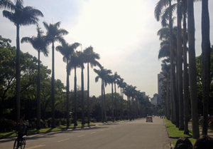 c0178169_15142648.png
