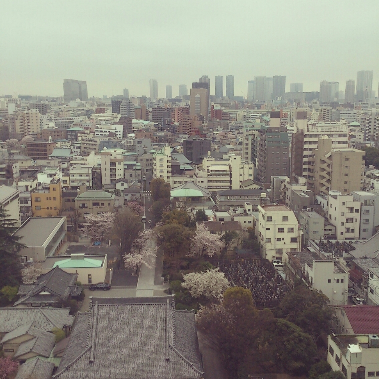 c0311170_8401964.jpg