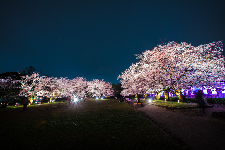 福岡城さくらまつり 2015_e0184970_0464673.jpg