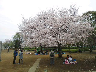 湘南台公園_e0056973_125961.jpg