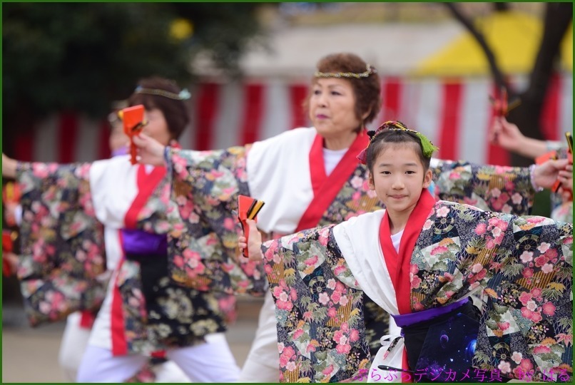 くまがや桜よさこい2015　（７）ベアーズ・桜連（Ⅱ）・煌☆舞童（Ⅱ）他（おまけ桜一枚）_b0104774_21100268.jpg