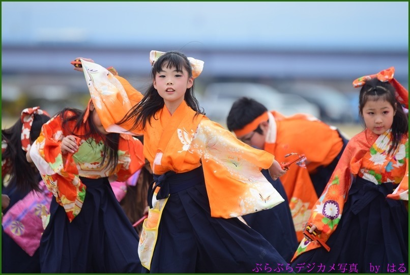 くまがや桜よさこい2015　（７）ベアーズ・桜連（Ⅱ）・煌☆舞童（Ⅱ）他（おまけ桜一枚）_b0104774_21131295.jpg