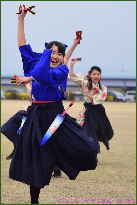 くまがや桜よさこい2015　（７）ベアーズ・桜連（Ⅱ）・煌☆舞童（Ⅱ）他（おまけ桜一枚）_b0104774_21131972.jpg