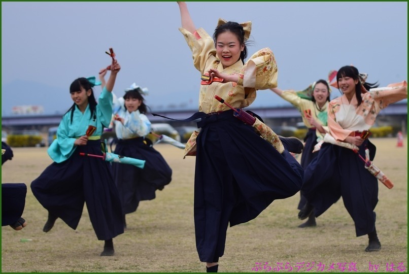 くまがや桜よさこい2015　（７）ベアーズ・桜連（Ⅱ）・煌☆舞童（Ⅱ）他（おまけ桜一枚）_b0104774_21132549.jpg