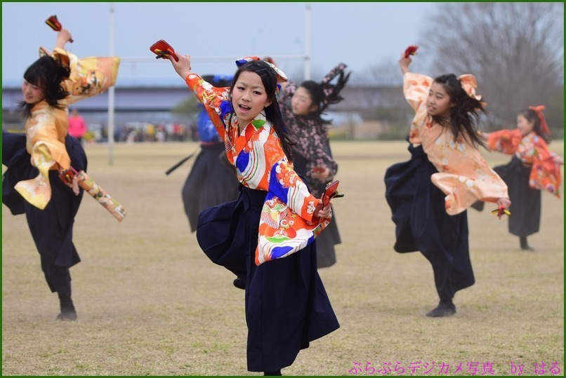 くまがや桜よさこい2015　（７）ベアーズ・桜連（Ⅱ）・煌☆舞童（Ⅱ）他（おまけ桜一枚）_b0104774_21150073.jpg