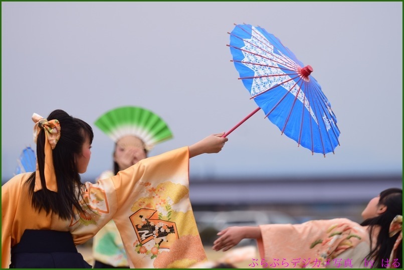 くまがや桜よさこい2015　（７）ベアーズ・桜連（Ⅱ）・煌☆舞童（Ⅱ）他（おまけ桜一枚）_b0104774_21151496.jpg