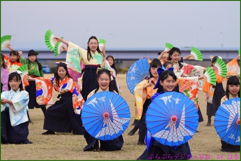 くまがや桜よさこい2015　（７）ベアーズ・桜連（Ⅱ）・煌☆舞童（Ⅱ）他（おまけ桜一枚）_b0104774_21164201.jpg