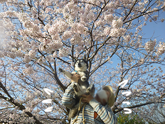 b0057675_98142.jpg