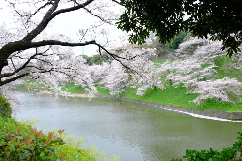 日本の風景。_a0329784_08115205.jpg