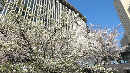 b0097689_2433421.jpg