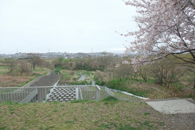 e0070891_23252190.jpg