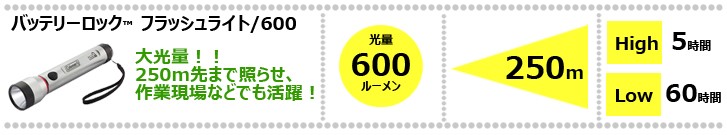 お持ちの懐中電灯は使える状態ですか?_d0198793_17523944.jpg