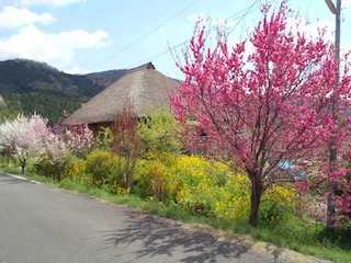e0143294_10591773.jpg