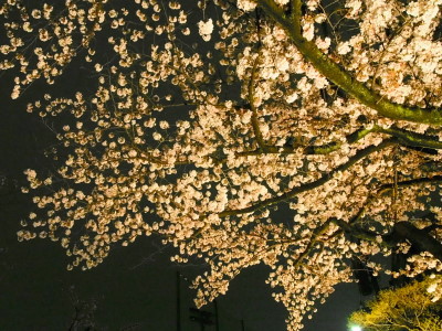 a0236996_0223011.jpg