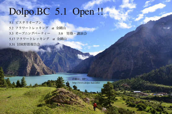 Dolpo.BC Open ! ! 2015.5.1_e0111396_202508.jpg