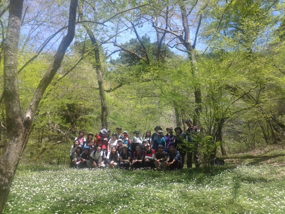Dolpo.BC Open ! ! 2015.5.1_e0111396_2054257.jpg
