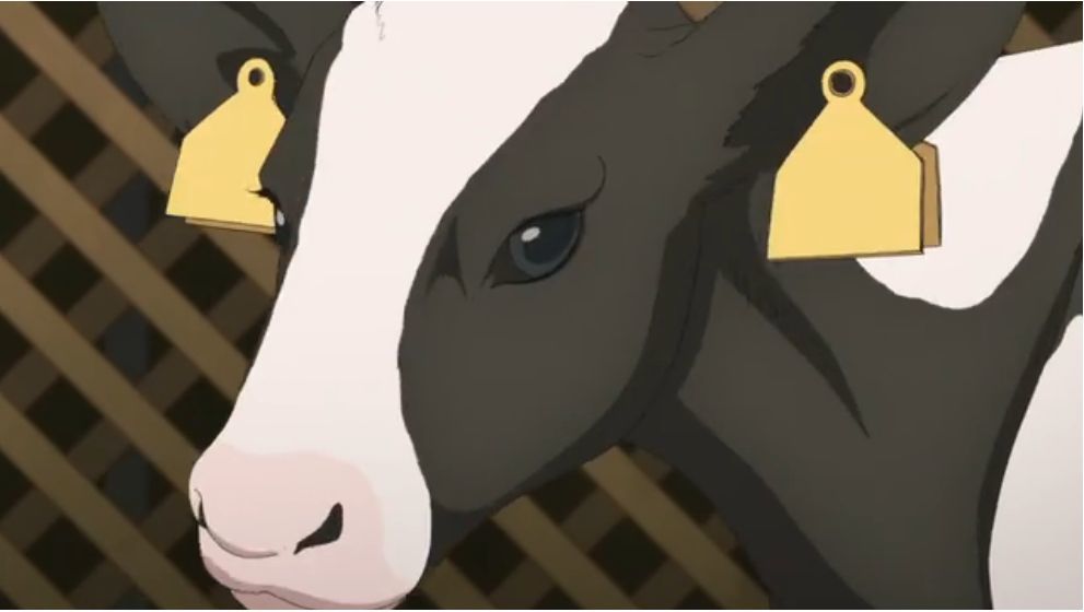 「SHIROBAKO」舞台探訪023 都区内唯一の小泉牧場登場(第24話その1)_e0304702_09542579.jpg
