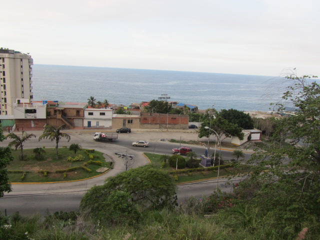a0100706_2347362.jpg