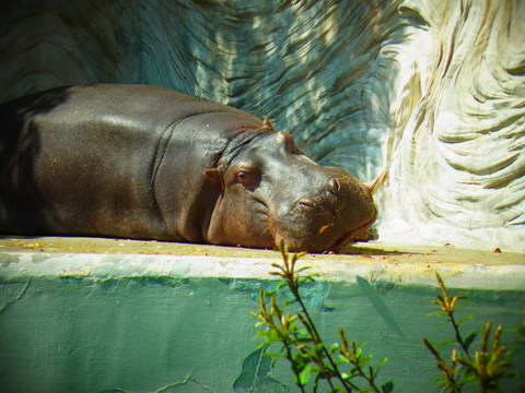 e0147206_1252859.jpg