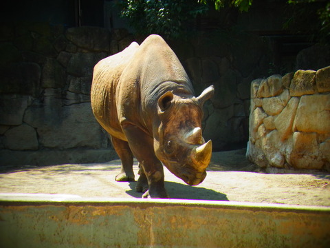 e0147206_125661.jpg