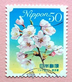 サクラサク～2015 Cherry blossoms in Tokyo_f0328009_20365618.jpg