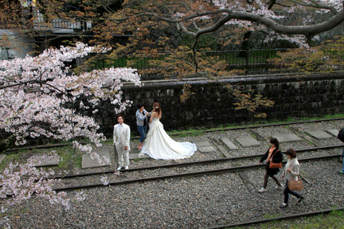インクライン 2015さくら情報27_e0048413_1734182.jpg