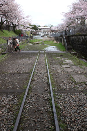 インクライン 2015さくら情報27_e0048413_1734511.jpg
