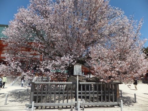 f0320815_20022390.jpg