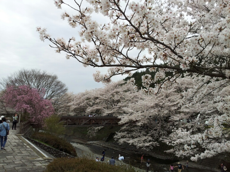 b0211924_23155797.jpg